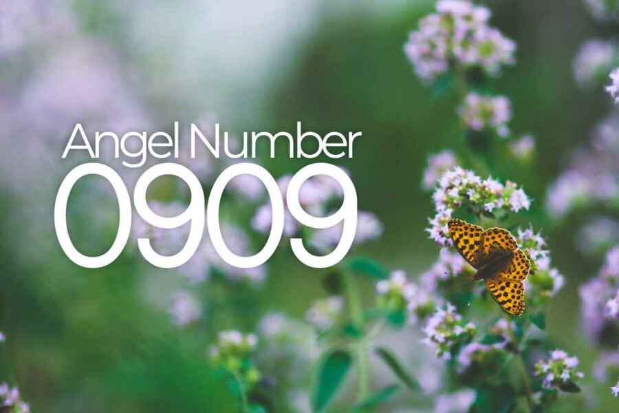 Angel Number 0909