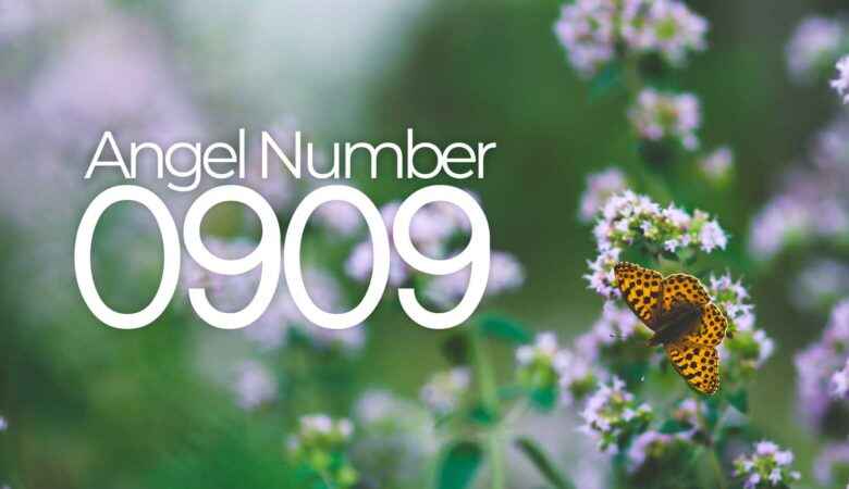 Angel Number 0909