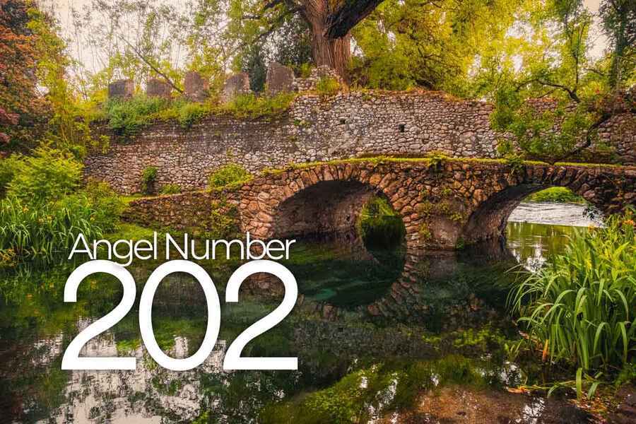 Angel Number 202 How it Affects You & Its Important Message