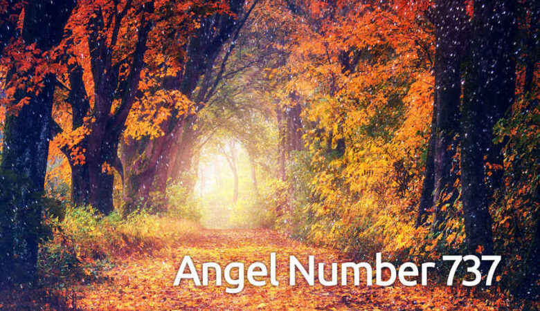 737 Angel Number