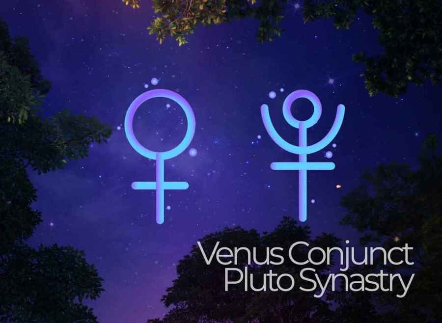 Venus Conjunct Pluto Synastry