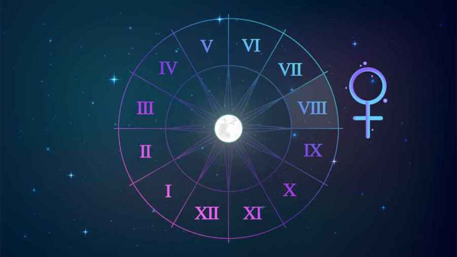 Venus in the 8th House Synastry