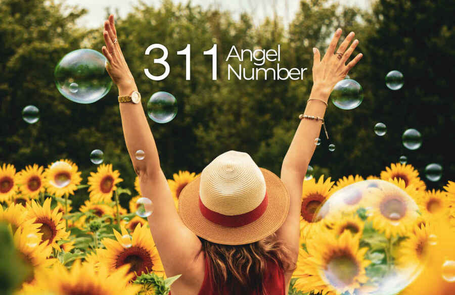 311 Angel Number