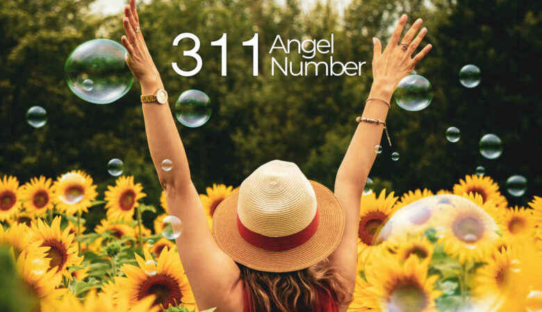 311 Angel Number