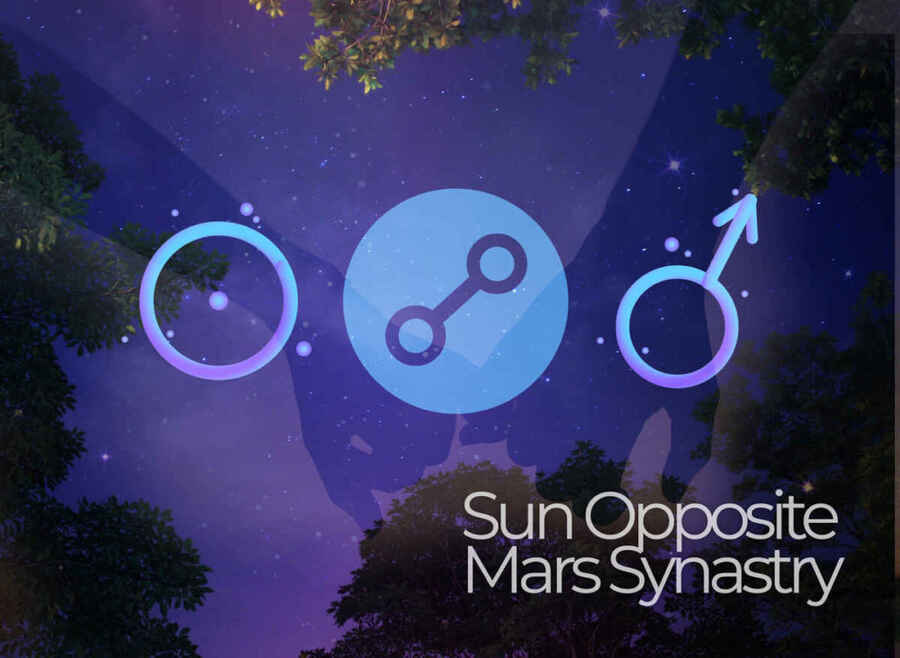 Sun Opposite Mars Synastry