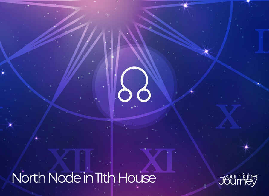North Node in the 11th House