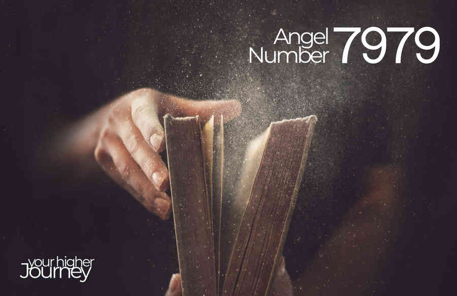 7979 Angel Number