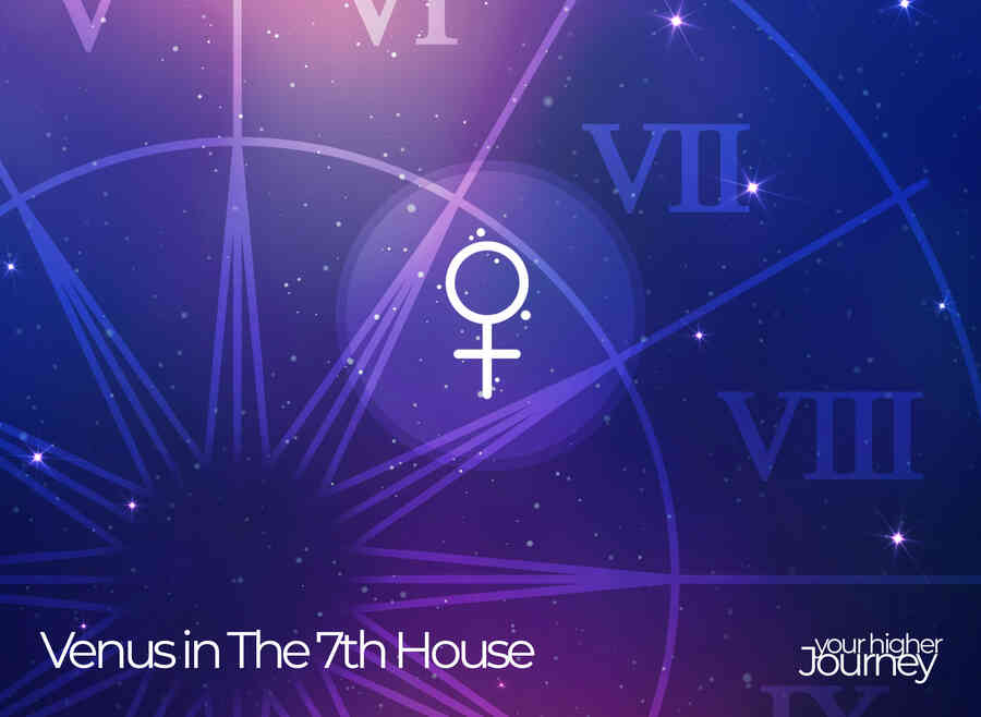 Venus in The 7th House