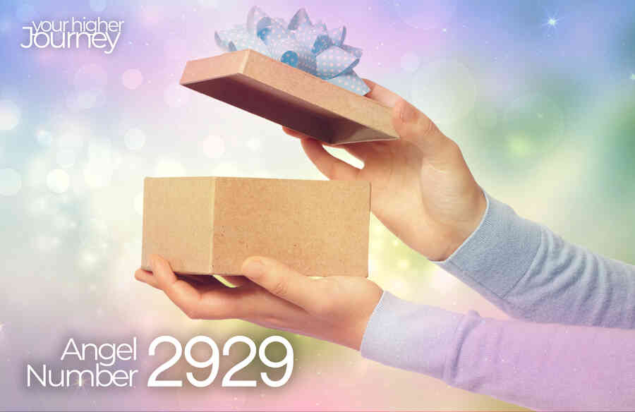 2929 Angel Number