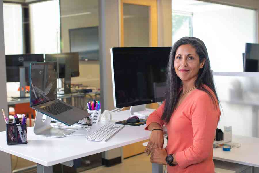 Successful business woman at a desk